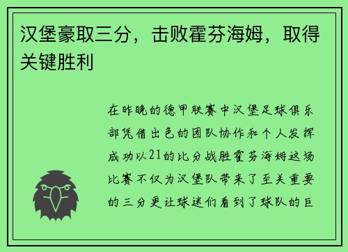 汉堡豪取三分，击败霍芬海姆，取得关键胜利