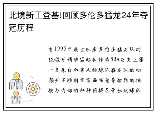 北境新王登基!回顾多伦多猛龙24年夺冠历程